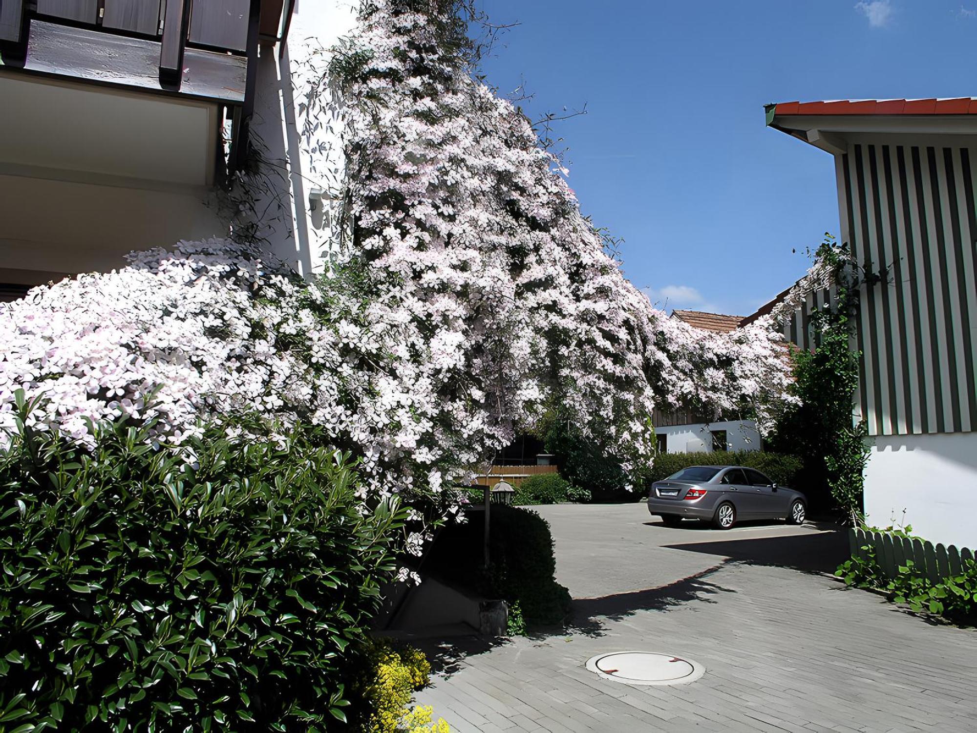 Gaestehaus Gutensohn Wasserburg am Bodensee Exterior photo